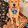Baxter