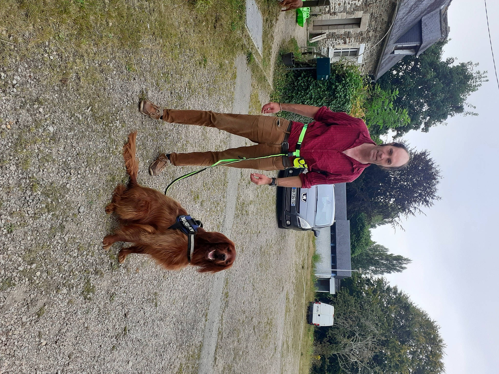 Nordet a rejoint le concours — aidez-le/la à gagner de superbes lots ! adventure, dog, dog_breed, dress, fawn, fun, landscape, leash, leisure, liver, plant, recreation, sky, tree, wood, working_animal