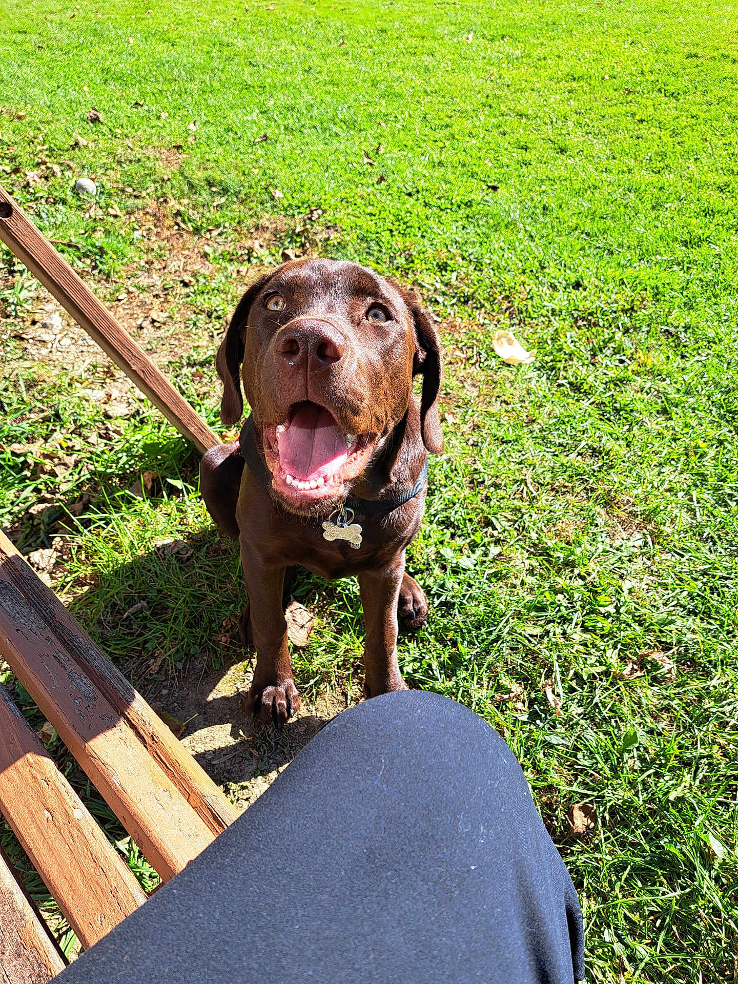 Mya