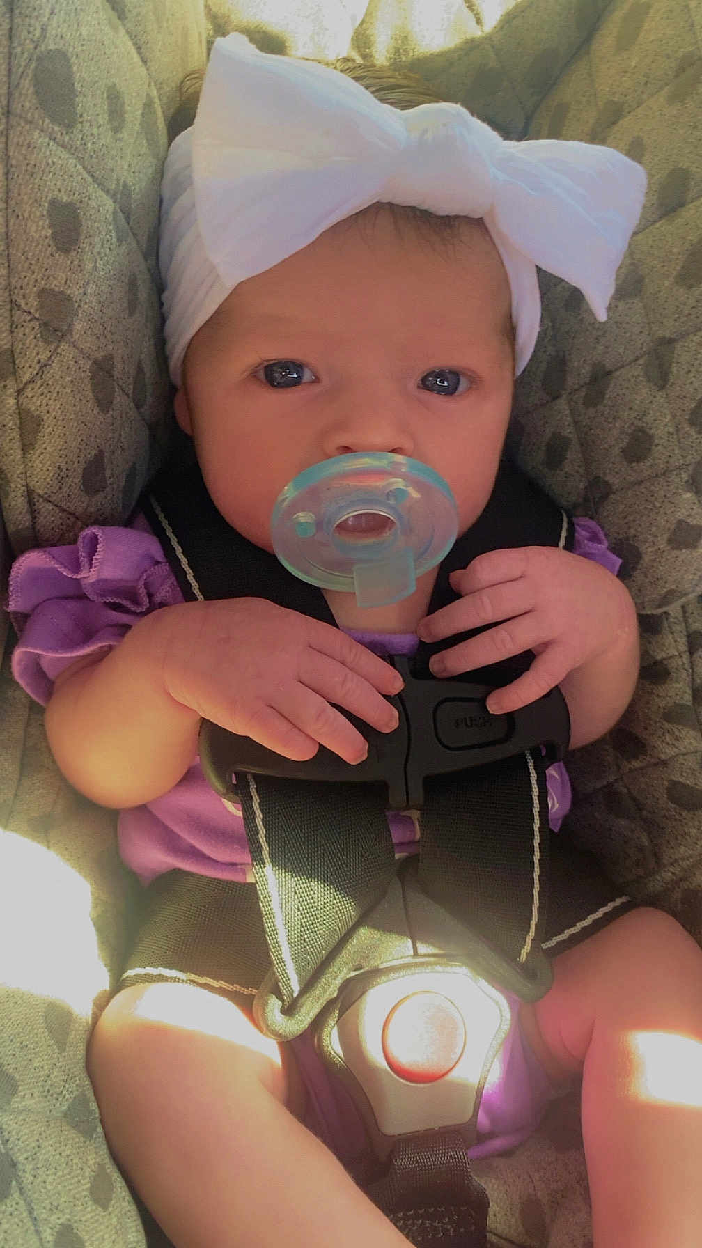 Lily joined the competition — help win amazing prizes! baby, infant, pacifier, car_seat, headband, bow, sitting, clothing, purple_outfit, straps, safety_harness, hands, legs, face, skin, cute, child, indoors, sunlight, closeup
