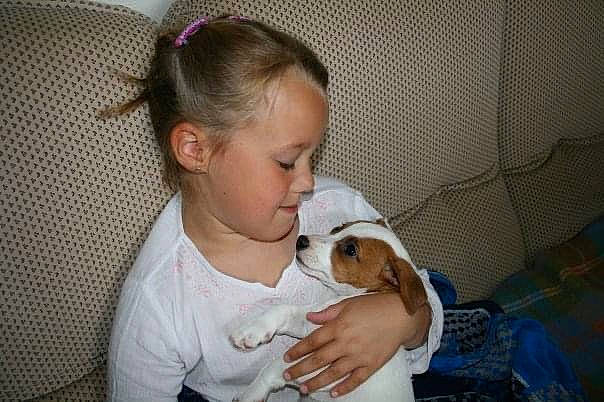 Ioullaouen a rejoint le concours — aidez-le/la à gagner de superbes lots ! carnivore, child, comfort, companion_dog, dog, dog_breed, ear, fashion_accessory, fawn, fur, happy, headband, hound, jewellery, mammal, puppy_love, sitting, snout, toddler, toy_dog