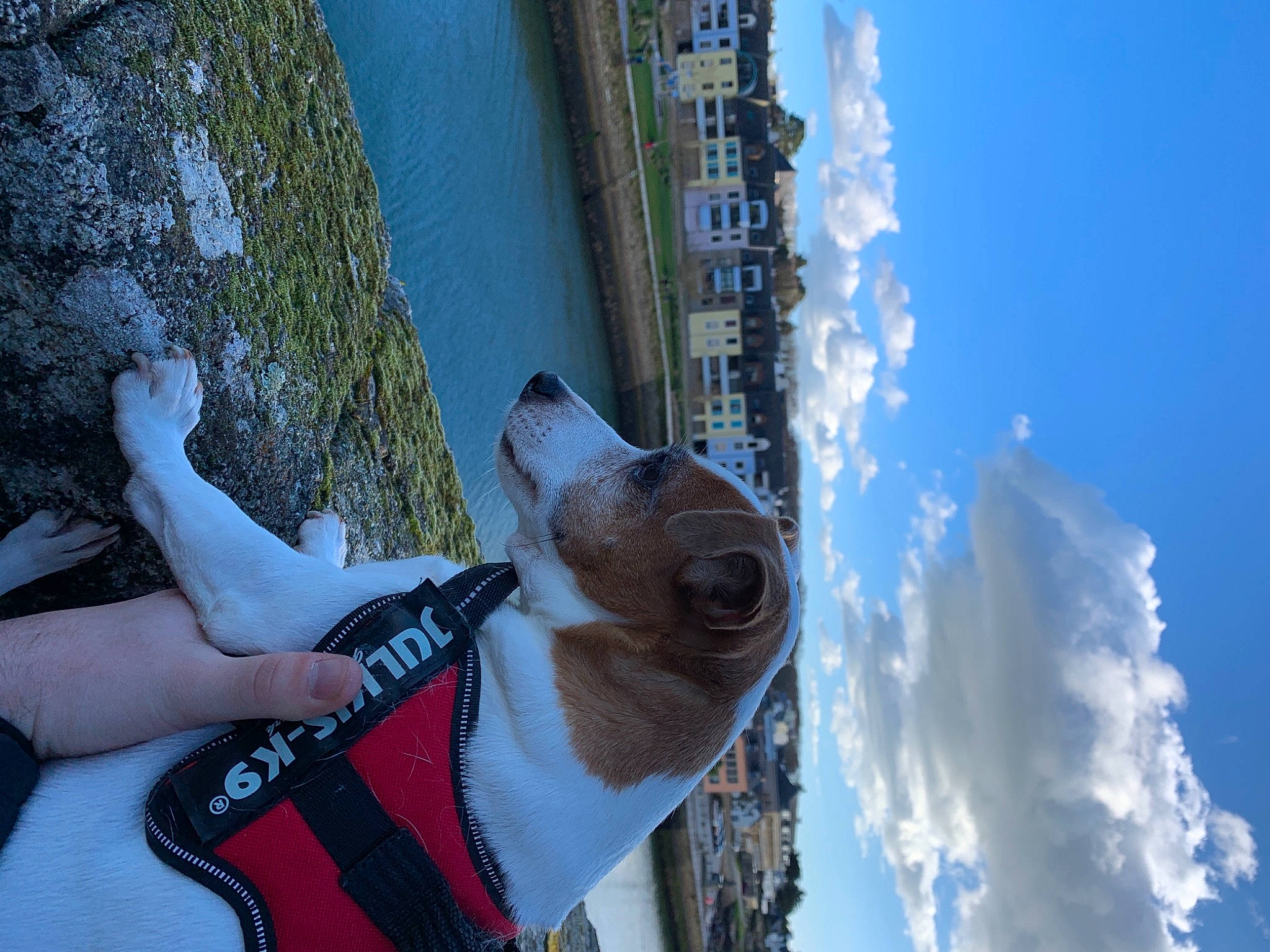 Ioullaouen participe au concours pour gagner de l'argent avec cette photo : adventure, azure, blue, carnivore, cloud, dog, dog_breed, eyewear, freezing, fun, human_leg, leisure, personal_protective_equipment, recreation, sky, sunglasses, travel, water, winter, world