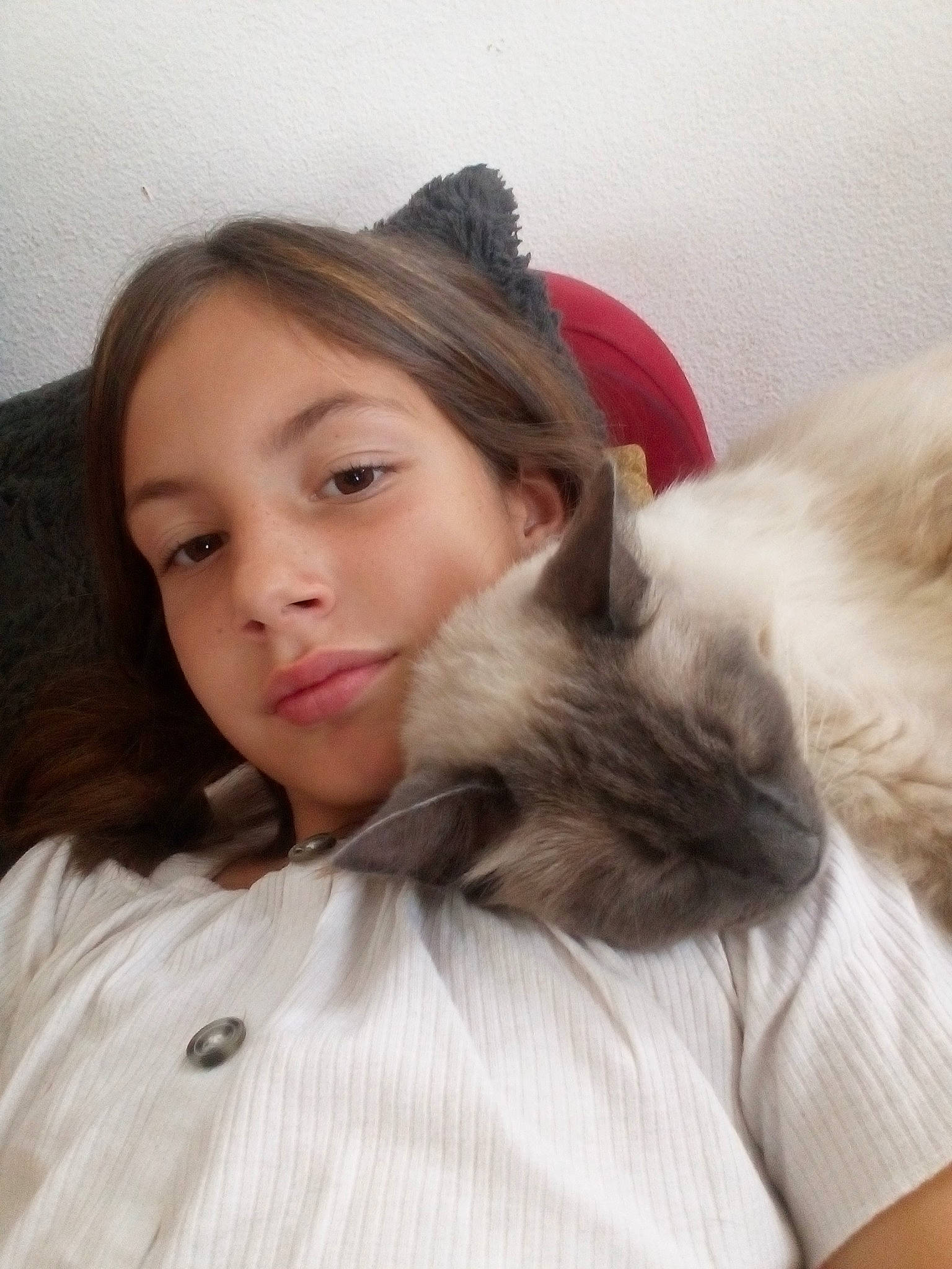 Souchi a rejoint le concours — aidez-le/la à gagner de superbes lots ! carnivore, cat, comfort, companion_dog, ear, eye, eyebrow, facial_expression, fawn, felidae, hair, hairstyle, iris, mammal, nose, shoulder, skin, small_to_medium_sized_cats, textile, whiskers