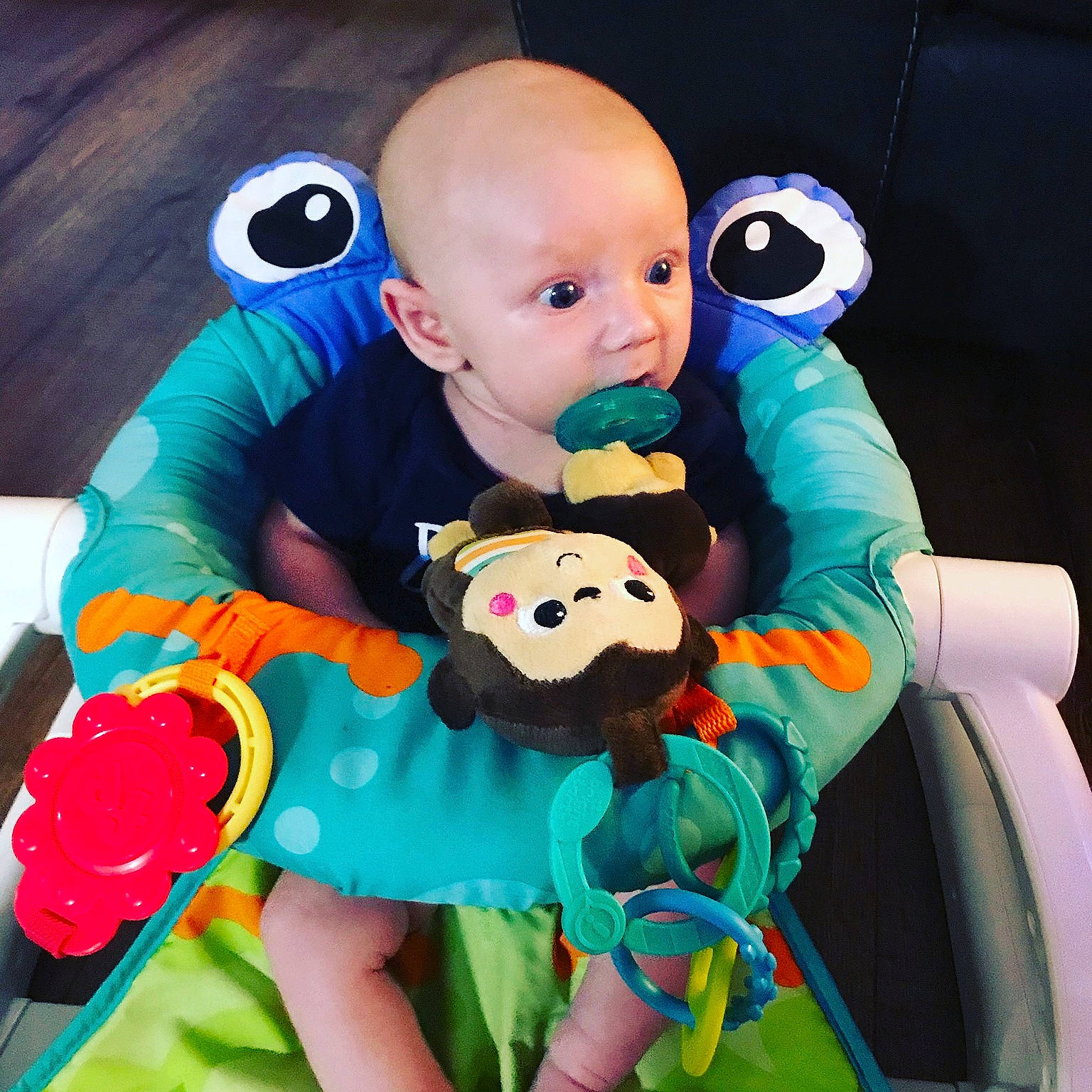 Dillon joined the competition — help win amazing prizes! baby, baby_products, baby_toys, child, fun, person, play, plush, product, stuffed_toy, toddler, toy
