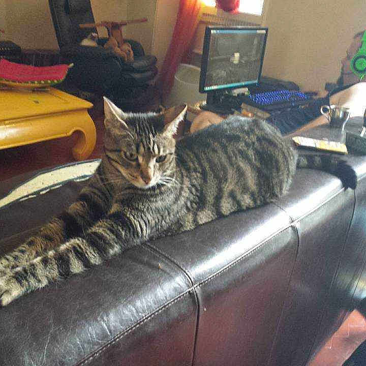 Tatanne participe au concours pour gagner de l'argent avec cette photo :