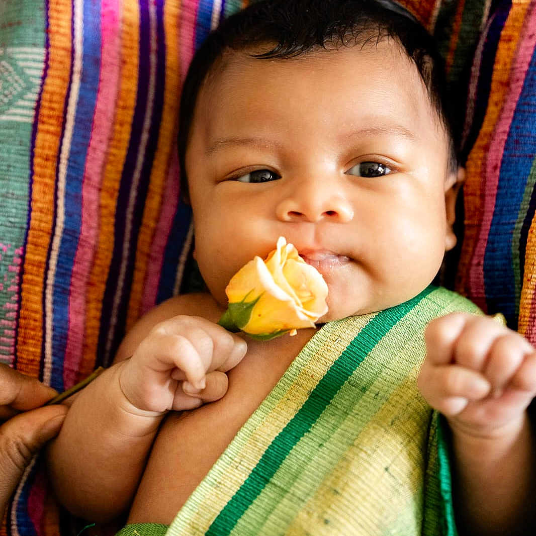 Nocturne participe au concours pour gagner de l'argent avec cette photo : baby, child, closeup, cloth, colorful, cute, fabric, face, flower, hand, holding, indoors, infant, pattern, peaceful, portrait, rose, skin, soft, striped