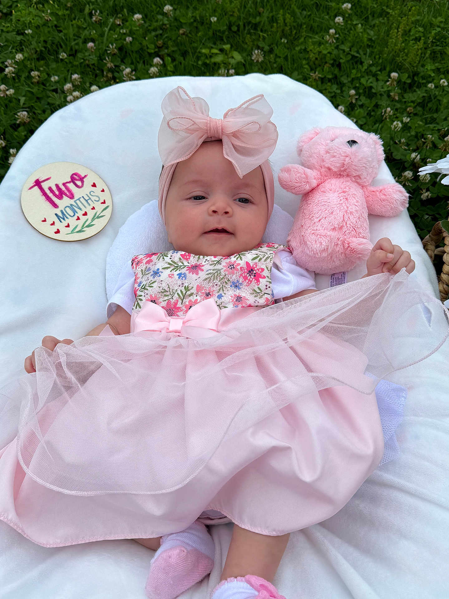 Sophia Griffith is registered to the contest to win money with this photo: baby, infant, pink_dress, headband, bow, teddy_bear, blanket, outdoor, grass, clover, milestone, sign, cute, soft_toy, sleepwear, footwear, portrait, child, two_months, lying
