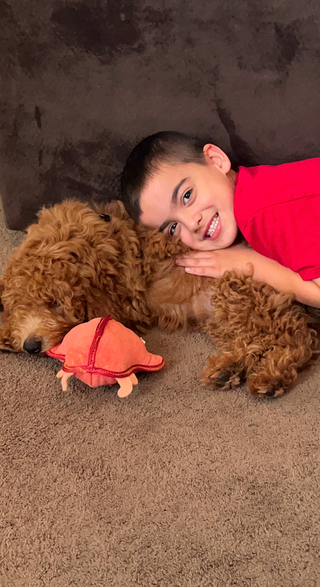 Carsyn joined the competition — help win amazing prizes! child, companion_dog, dog, dog_breed, flash_photography, flooring, fun, fur, happy, joy, person, pink, sitting, smile, soil, sporting_group, teddy_bear, terrier, toddler, toy