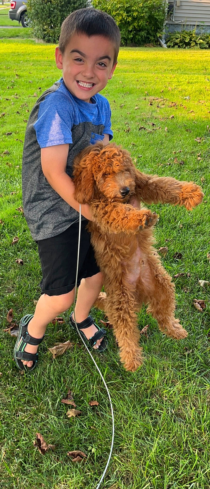 Carsyn is registered to the contest to win money with this photo: baseball_cap, big_cats, carnivore, companion_dog, dog_breed, fawn, fur, grass, grassland, hat, joy, lion, masai_lion, people_in_nature, person, shorts, sporting_group, tail, terrestrial_animal, toy