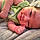 Zhaiden Emiliano