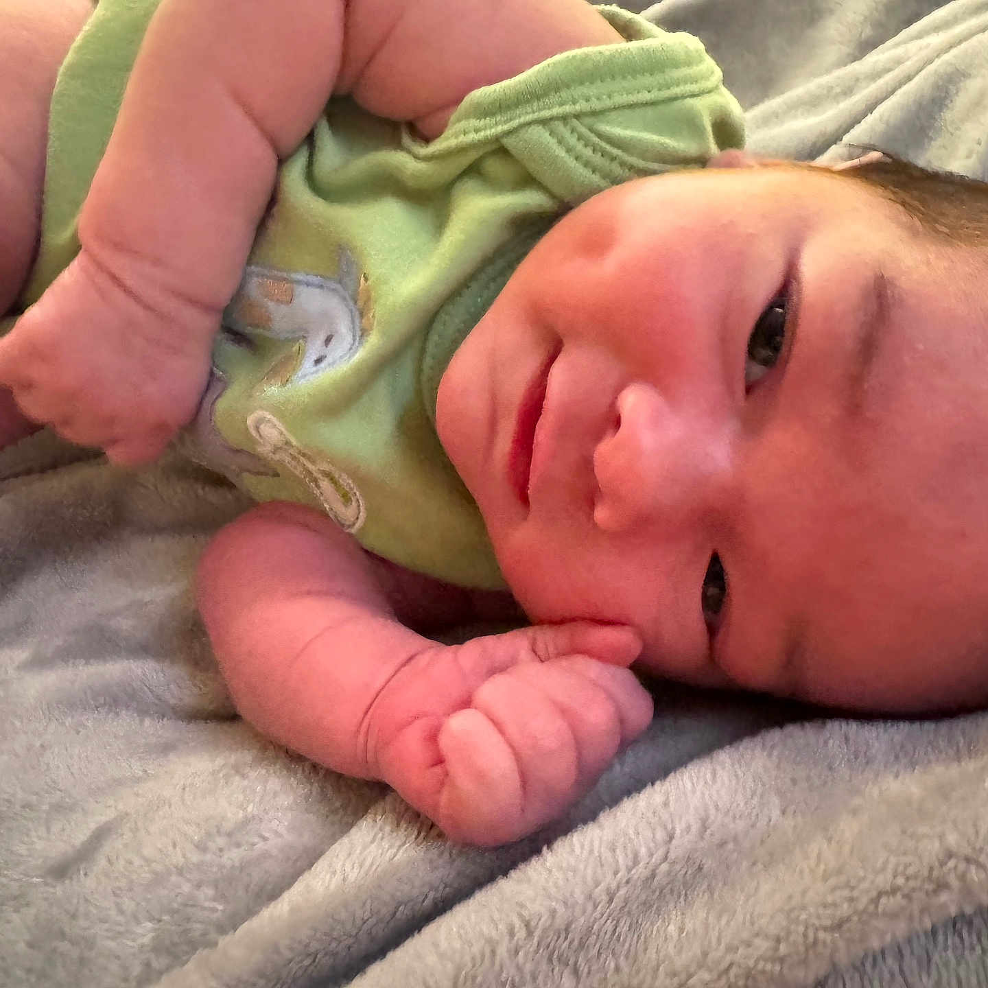 Zhaiden Emiliano is registered to the contest to win money with this photo: arm, baby, blanket, child, closeup, cozy, cute, face, happy, indoors, infant, lying, newborn, onesie, person, portrait, skin, sleeping, smiling, soft