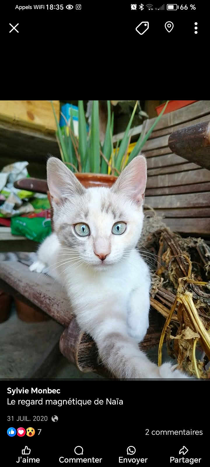 Naïa