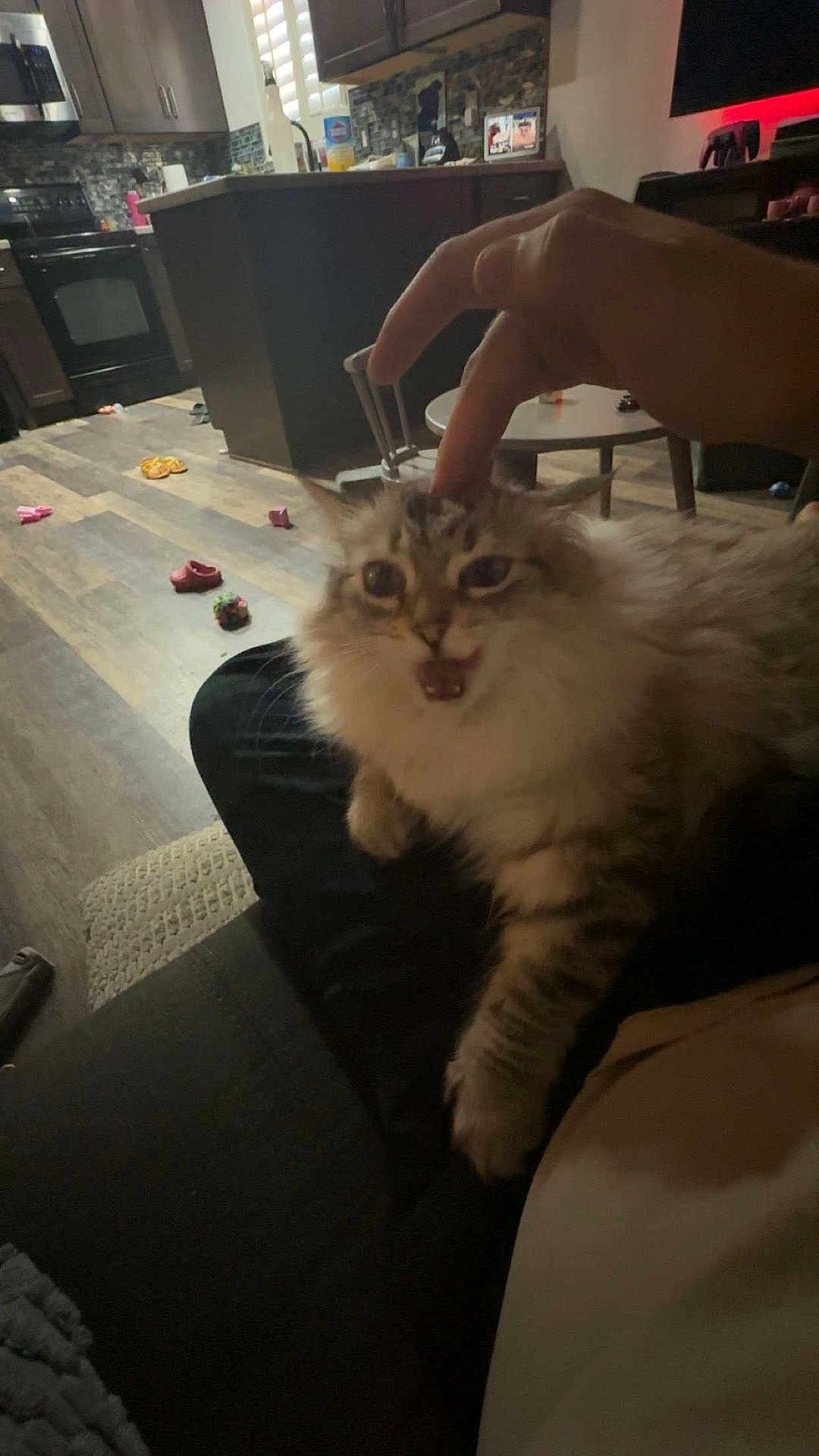 Princess