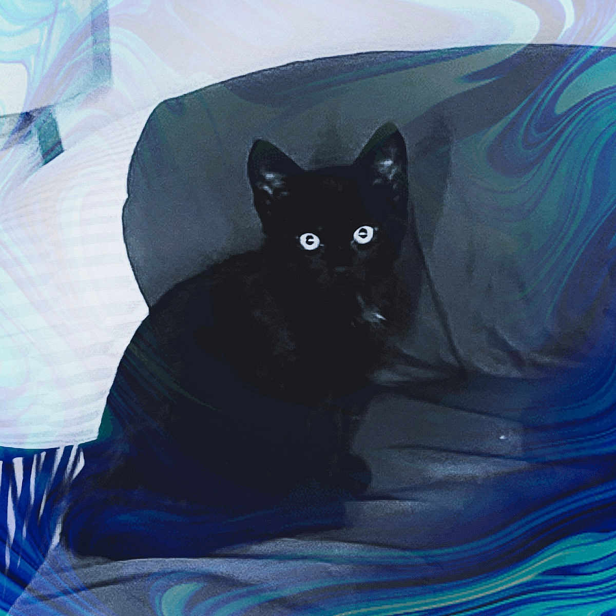 Mystic is registered to the contest to win money with this photo: adult, animal, art, blackcat, blanket, cat, male, man, manx, painting, panther, person, pet