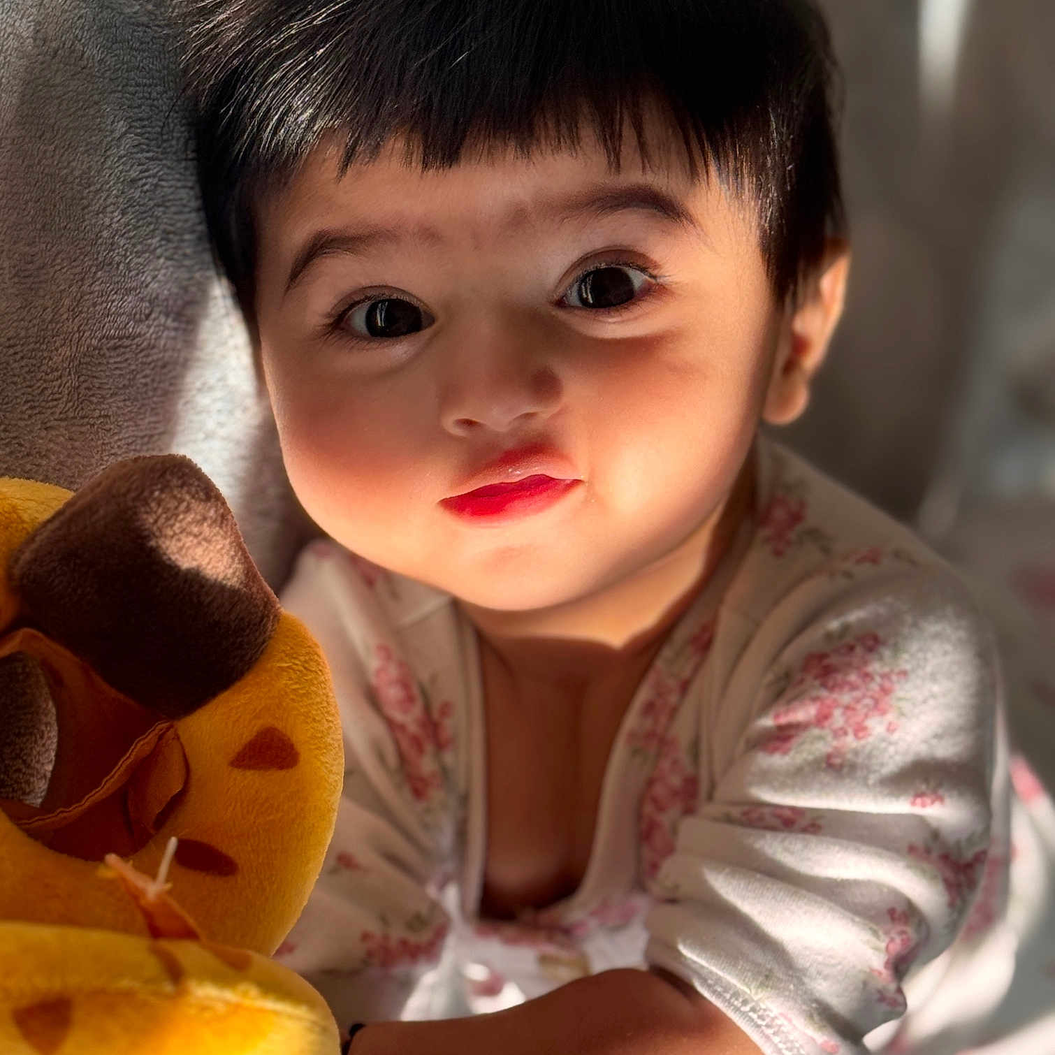 Ashvi joined the competition — help win amazing prizes! arm, baby, child, closeup, clothing, cute, expression, eyes, face, happy, indoors, infant, person, plush_toy, portrait, skin, smile, soft_toy, sunlight, young