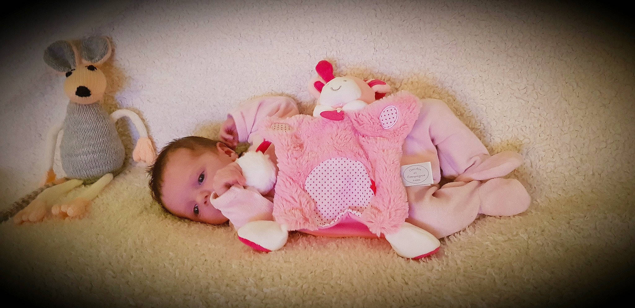 Léane participe au concours pour gagner de l'argent avec cette photo : arm, baby, baby_products, baby_sleeping, baby_toddler_clothing, bedtime, cheek, comfort, eye, head, headgear, human_body, linens, lip, person, pink, skin, sleeve, textile, toddler