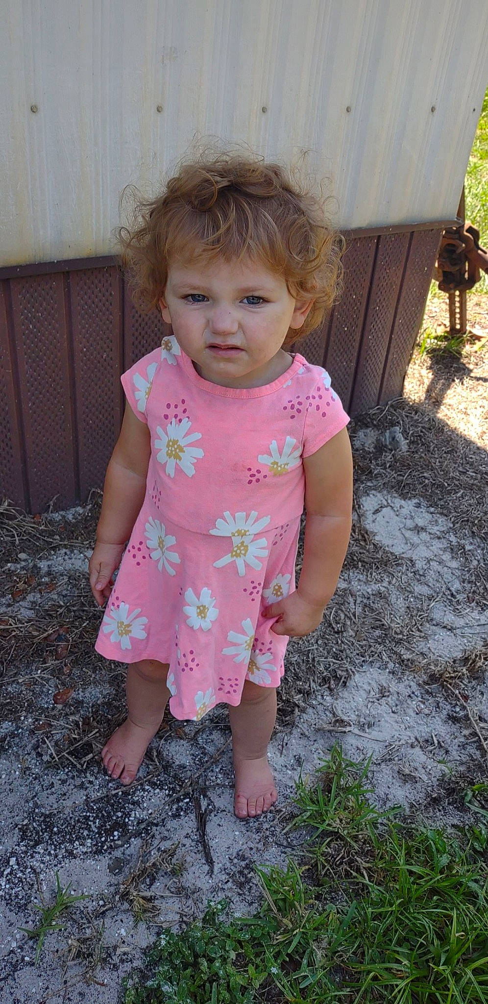 Nova Jane is registered to the contest to win money with this photo: baby, baby_toddler_clothing, cheek, child, chin, eye, face, fun, grass, hair, happy, head, magenta, people_in_nature, person, pink, plant, skin, sleeve, summer