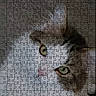 cat, puzzle, jigsaw, smartphone, screen, green_eyes, fur, brown, white, animal, face, pet, closeup, photo, technology, app_interface, text_overlay, shopping, website, digital