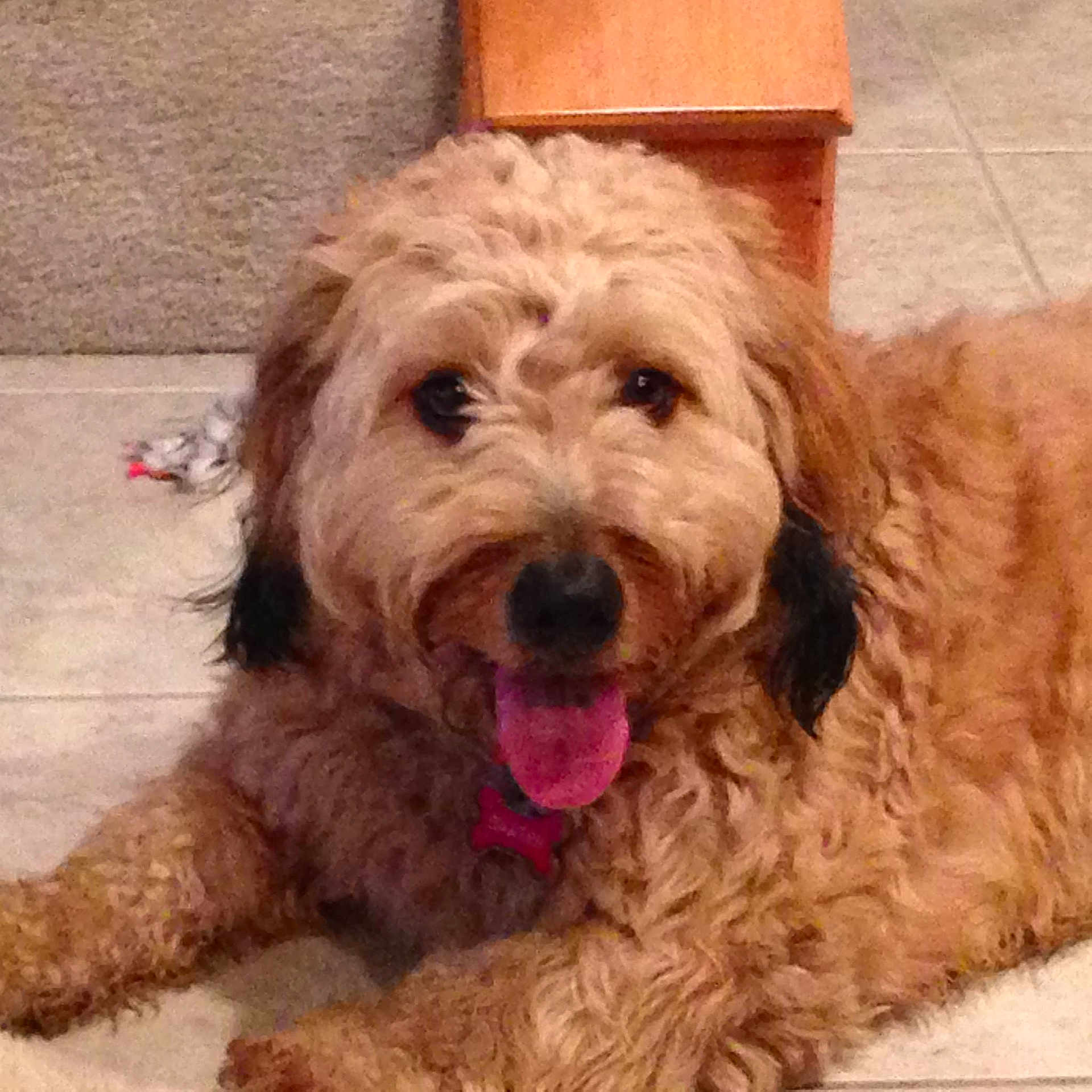 Baxter