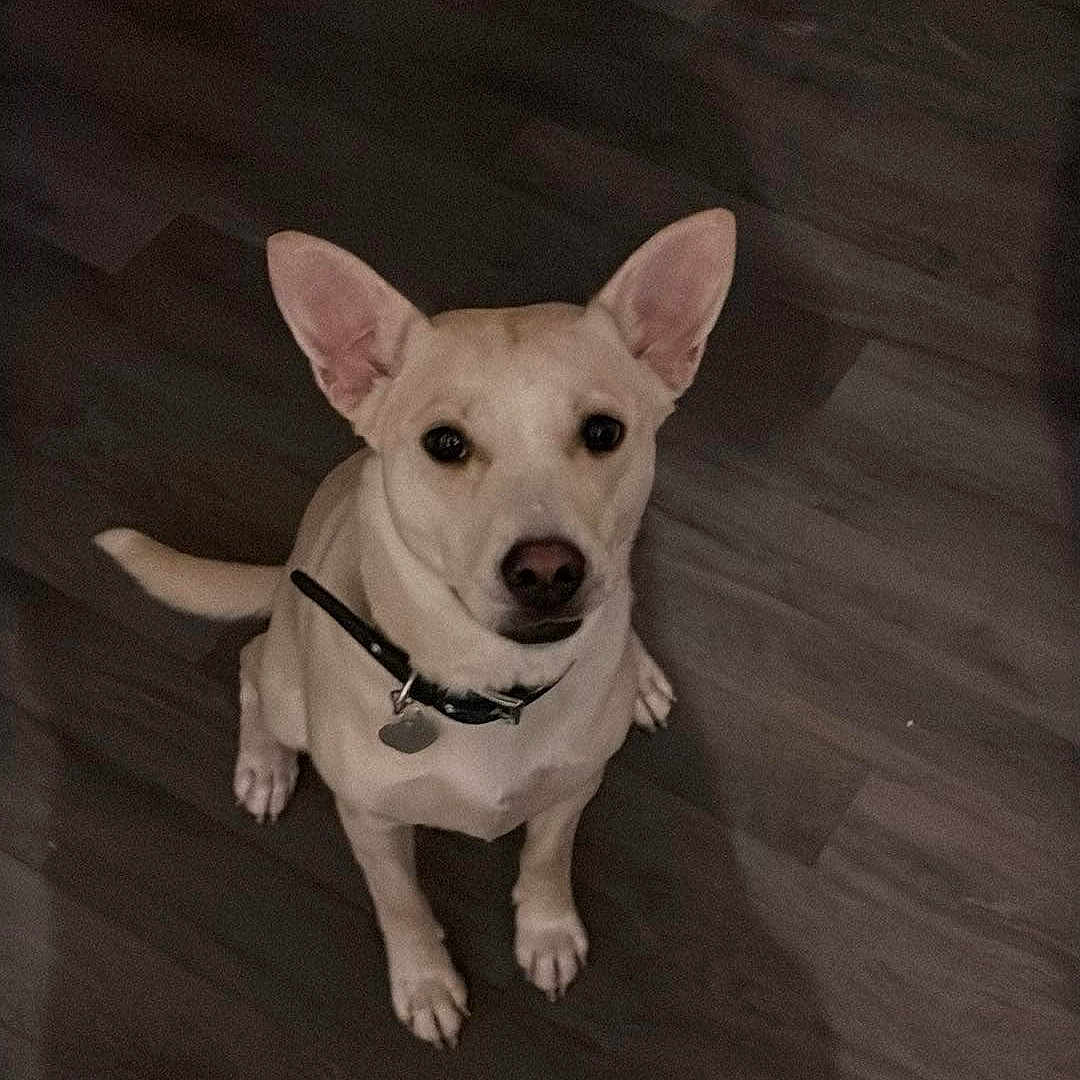 Yumi