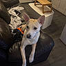 Yumi participe au concours pour gagner de l'argent avec cette photo :