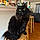 Salem