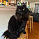 Salem