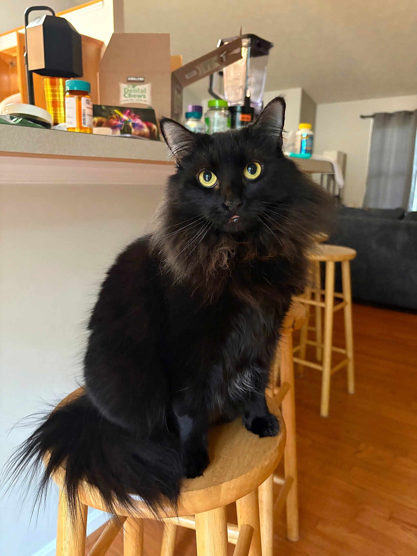 Salem