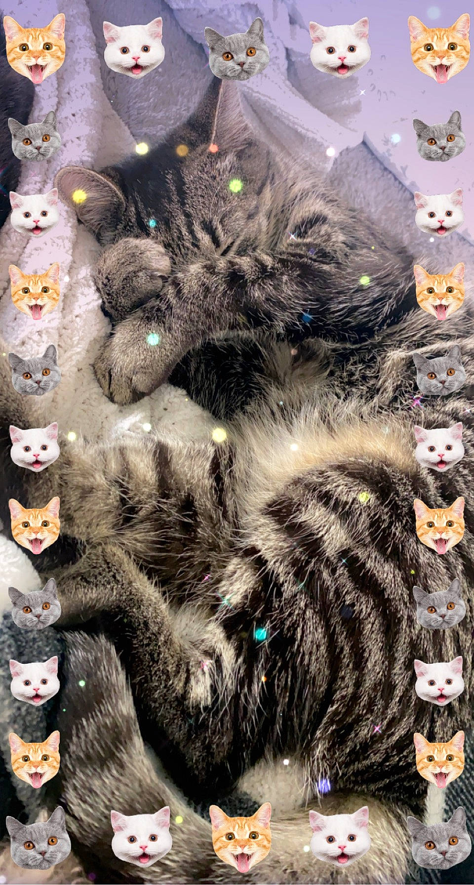 Gabi joined the competition — help win amazing prizes! art, christmas_decoration, christmas_ornament, conifer, event, fashion, fashion_accessory, felidae, fur, fur_clothing, hat, headgear, holiday, ornament, pattern, small_to_medium_sized_cats, tail, textile, whiskers, winter