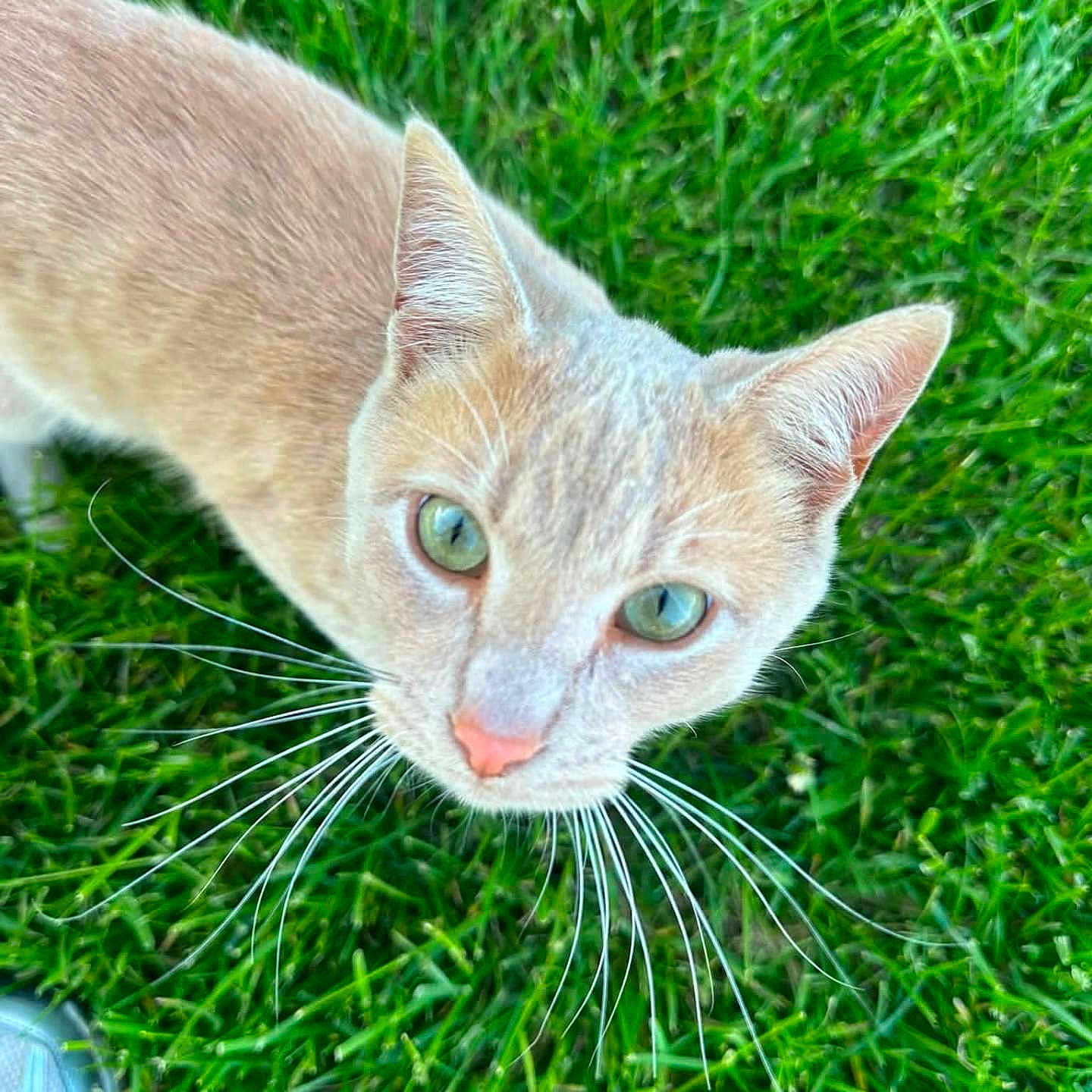 Jack