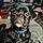 Pugsley