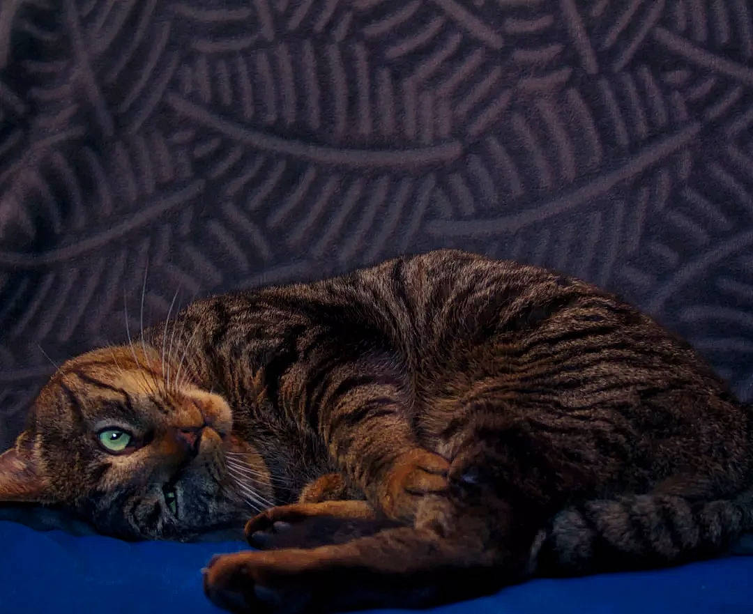 Mika participe au concours pour gagner de l'argent avec cette photo : art, carnivore, cat, claw, comfort, domestic_short_haired_cat, fawn, felidae, fur, nap, paw, small_to_medium_sized_cats, snout, tail, terrestrial_animal, whiskers, wildlife