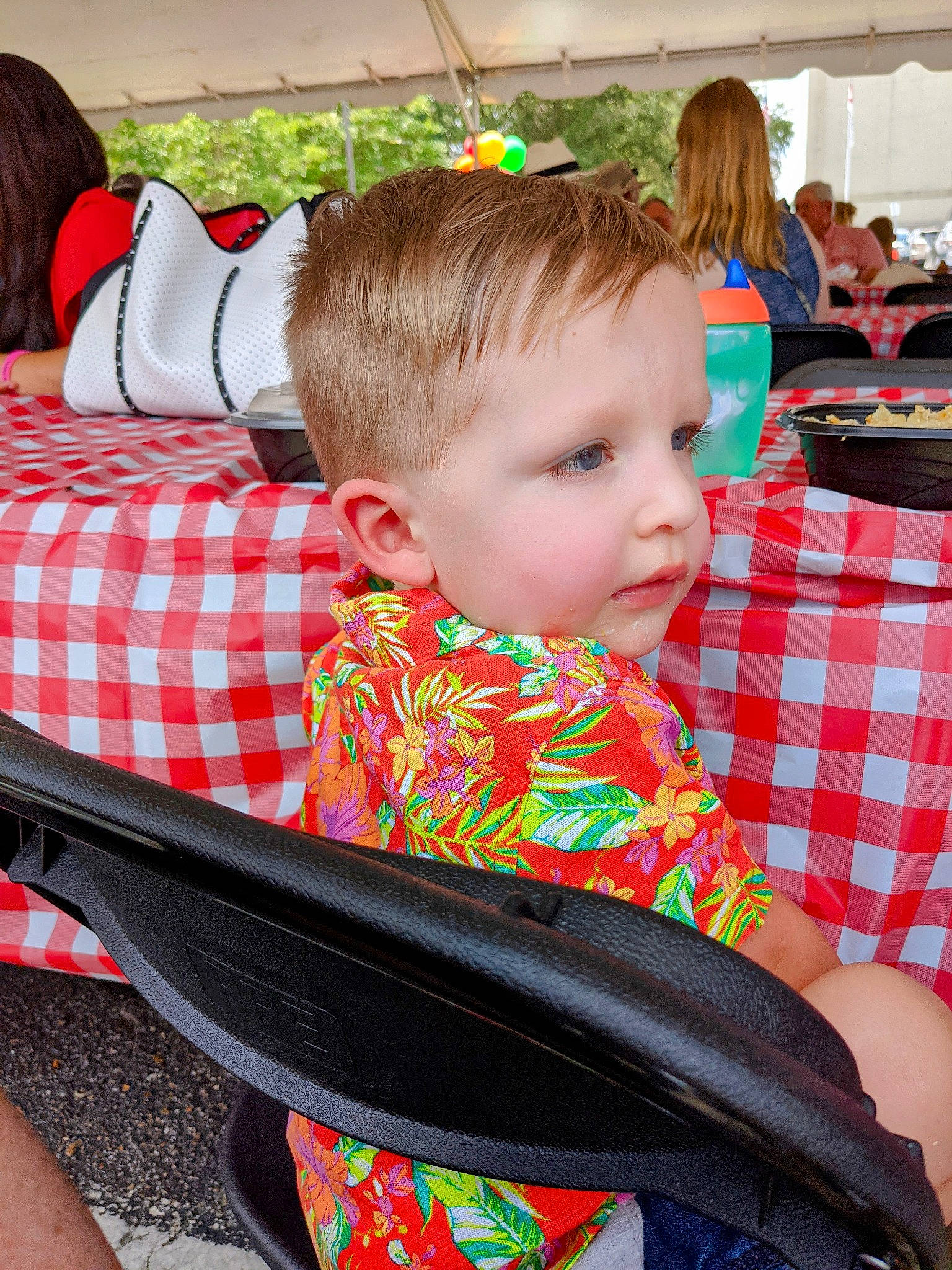 Gus joined the competition — help win amazing prizes! beauty, chair, child, event, fun, grass, green, hair, happy, lap, leisure, pattern, person, plaid, recreation, sitting, t_shirt, tableware, tartan, toddler