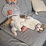 baby, child, pacifier, cat, pet, couch, sofa, indoor, cozy, striped_clothing, relaxed, cute, furniture, foot, paw, white_cat, tabby_cat, living_room, pillow, home