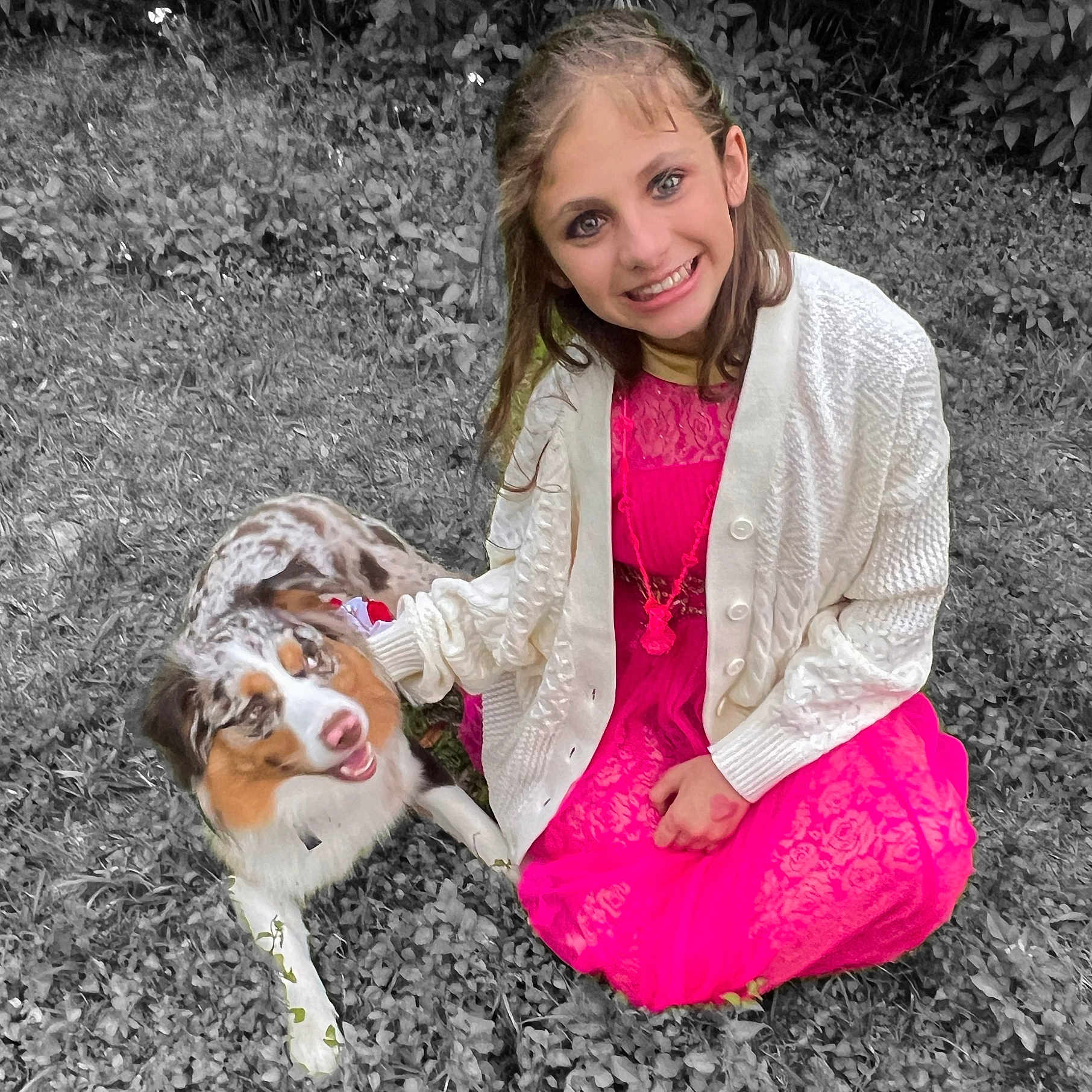 Trinity is registered to the contest to win money with this photo: accessories, animal, backyard, bag, ball, beagle, blanket, blazer, blonde, blouse, bodypart, bracelet, bulldog, calf, canine, cat, cattle, child, clothing, coat
