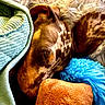 dog, sleeping, blanket, plush_toy, cozy, fur, brown, white, blue, orange, texture, rest, comfort, indoor, cute, nap, soft, peaceful, animal, pet