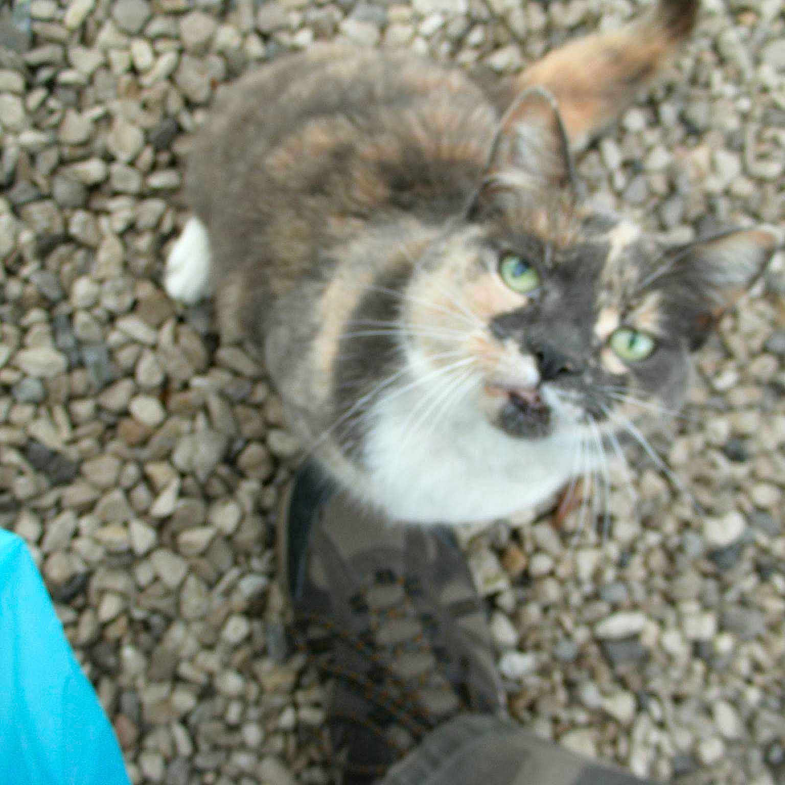 Soxy is registered to the contest to win money with this photo: