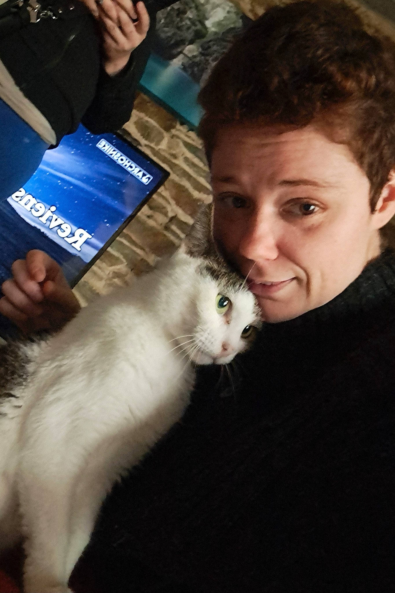 Sangha a rejoint le concours — aidez-le/la à gagner de superbes lots ! bag, carnivore, cat, domestic_short_haired_cat, fawn, felidae, formal_wear, fur, gesture, lap, luggage_and_bags, nail, paw, small_to_medium_sized_cats, smile, suit, tail, whiskers