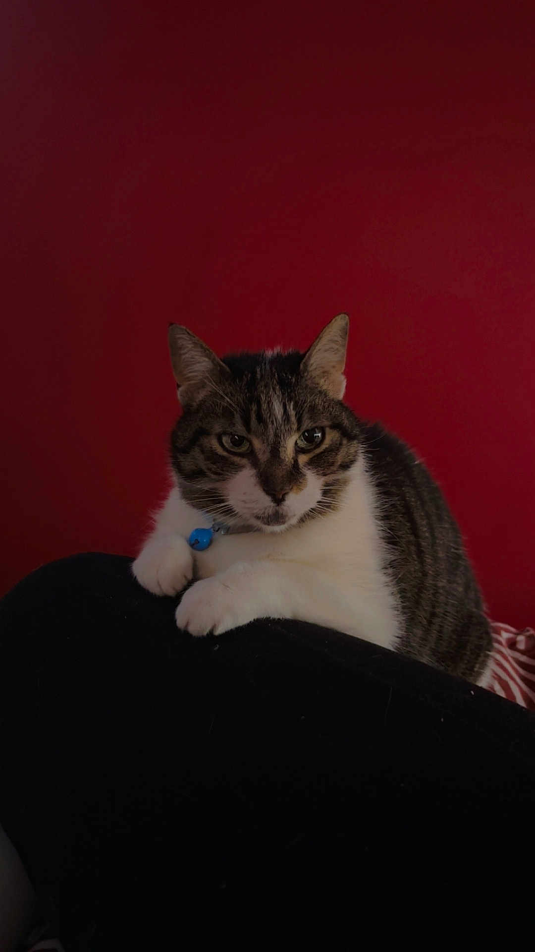 Louna