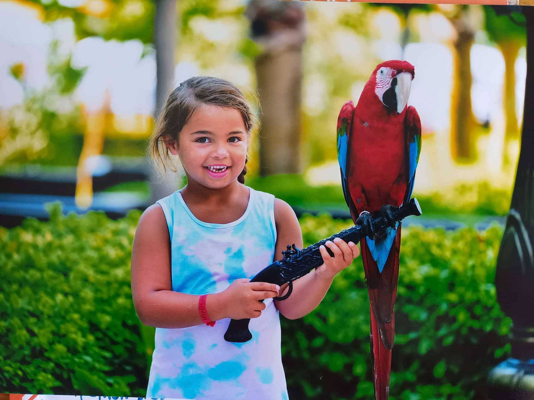 Jehna participe au concours pour gagner de l'argent avec cette photo : beak, bird, child, electric_blue, facial_expression, fun, grass, happy, joy, leisure, macaw, parrot, people_in_nature, person, plant, recreation, smile, spring, summer, t_shirt