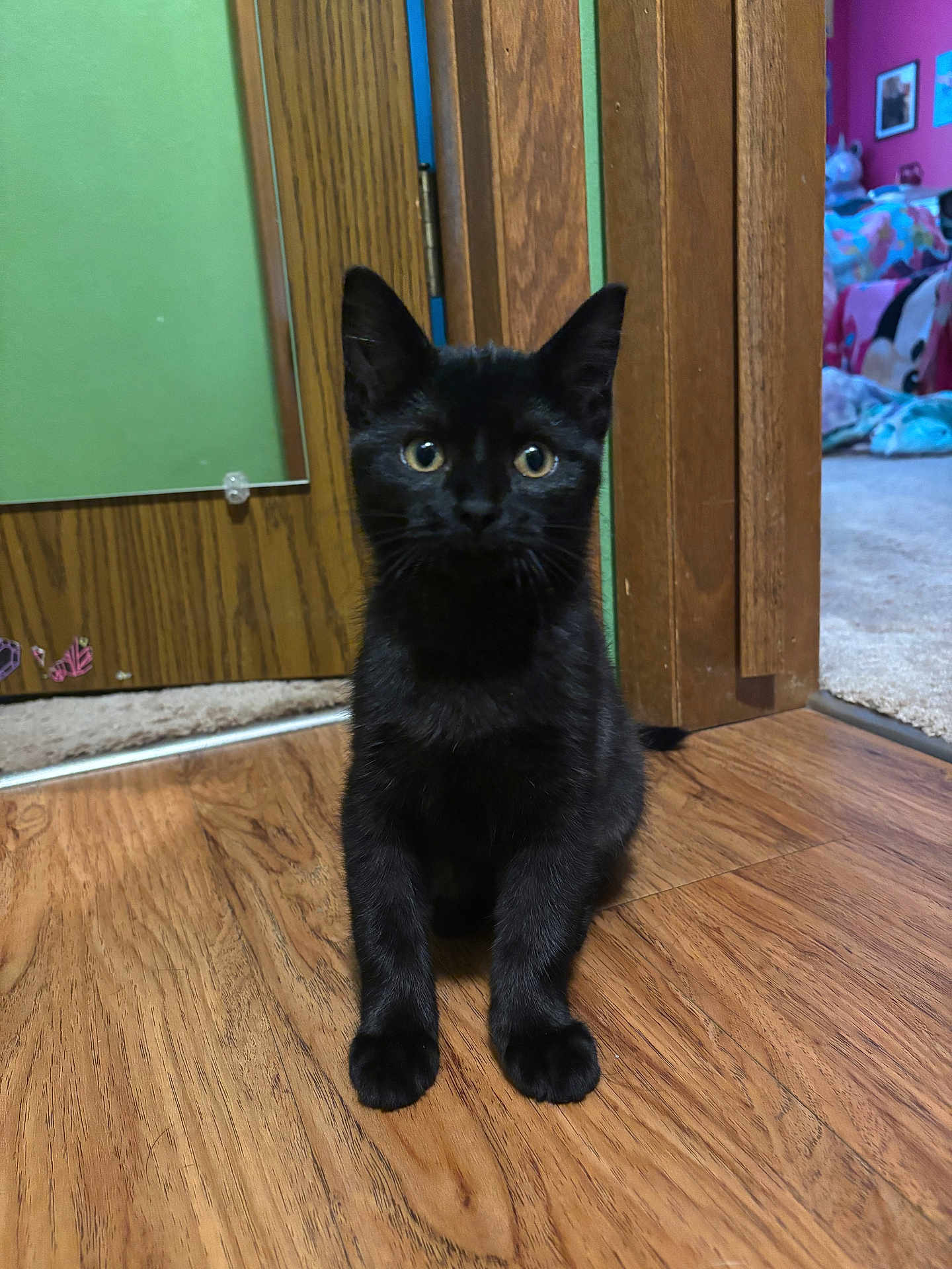 Miso