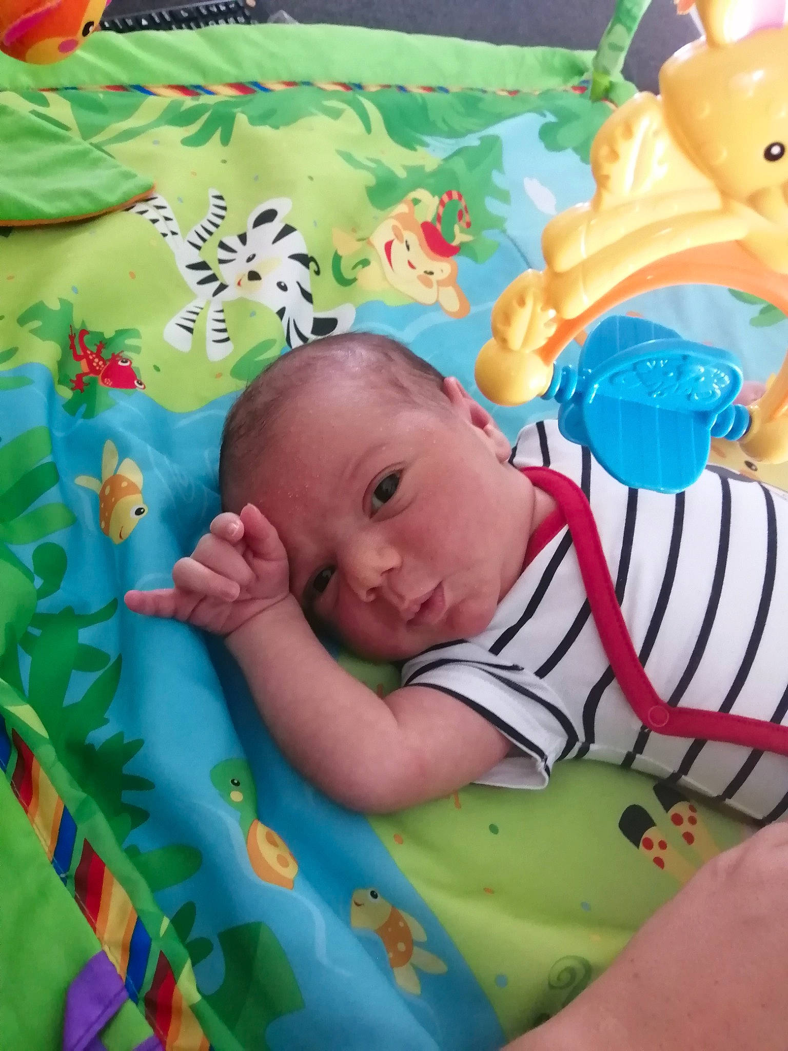 Flavien participe au concours pour gagner de l'argent avec cette photo : baby, baby_products, bedtime, child, person, product, toddler, toy