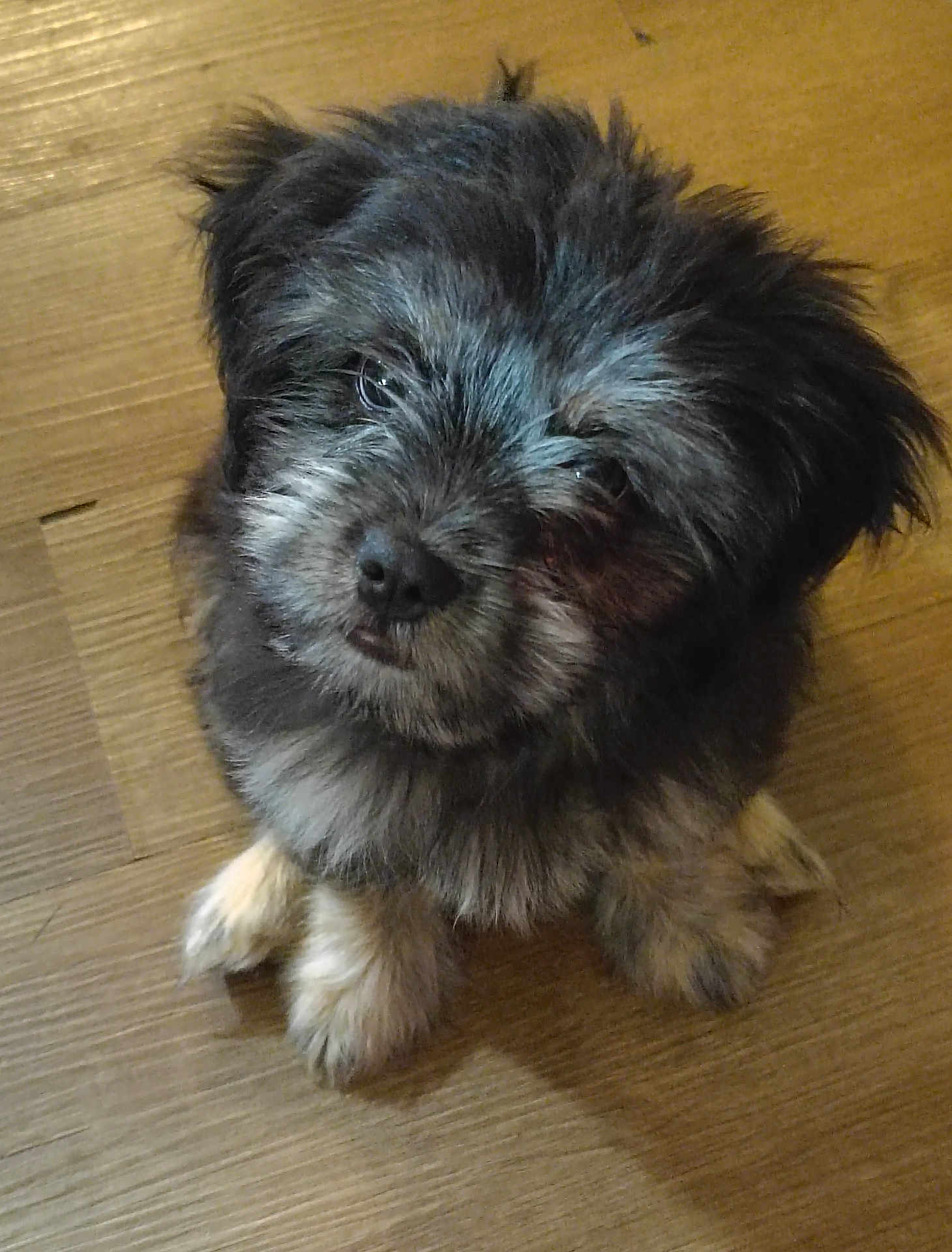 Rosie
