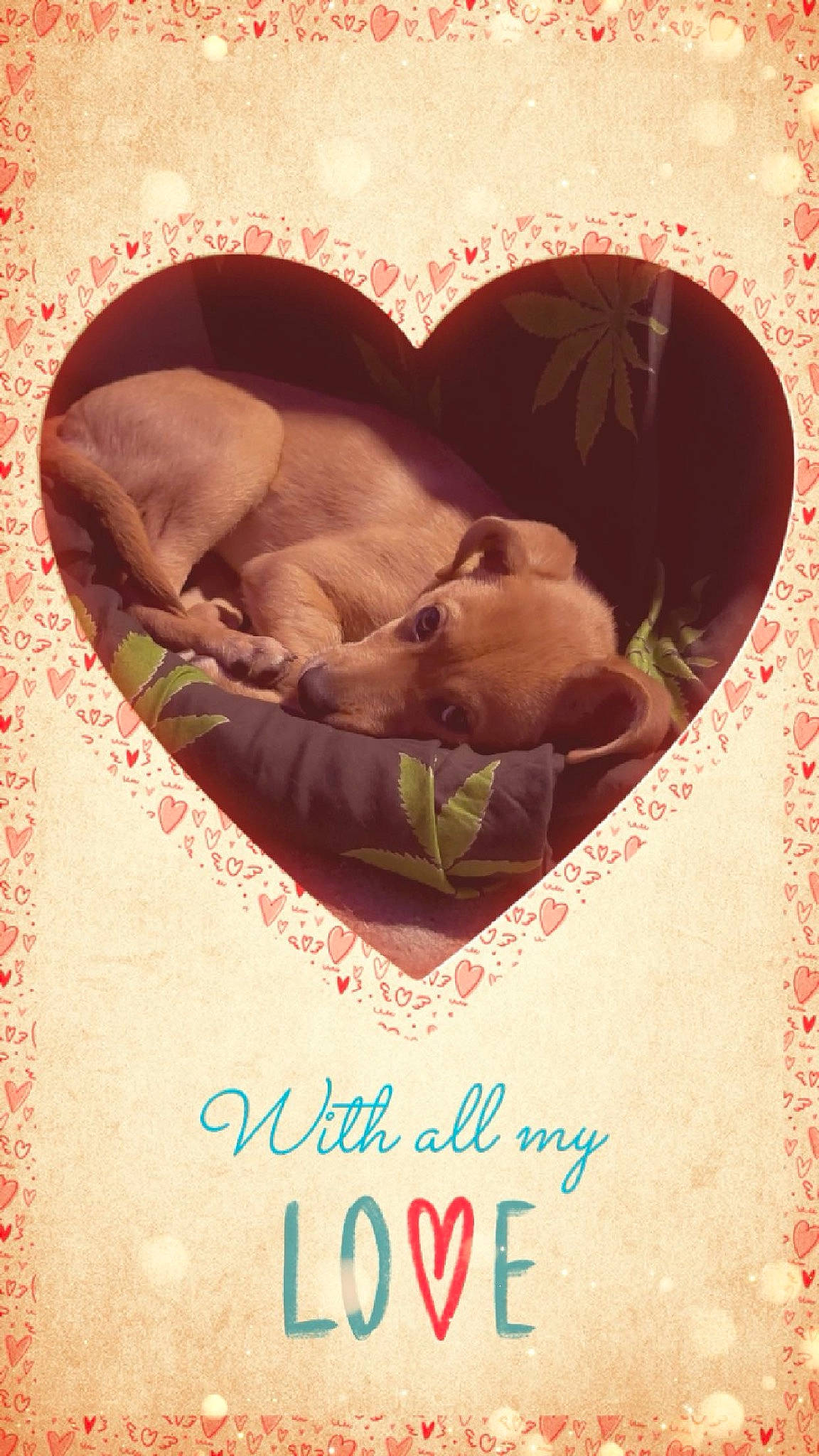 Cleo is registered to the contest to win money with this photo: advertising, art, book_cover, collectable, fiction, flesh, font, gesture, graphic_design, graphics, happy, illustration, organism, painting, photo_caption, poster, publication, romance, signature, visual_arts