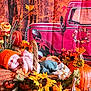 baby, orange_hat, basket, pumpkin, sunflower, autumn, fall_leaves, flowers, blanket, jeans, cozy, decor, outdoor_scene_backdrop, red_truck, sleeping, child, seasonal, nature_theme, cute, portrait
