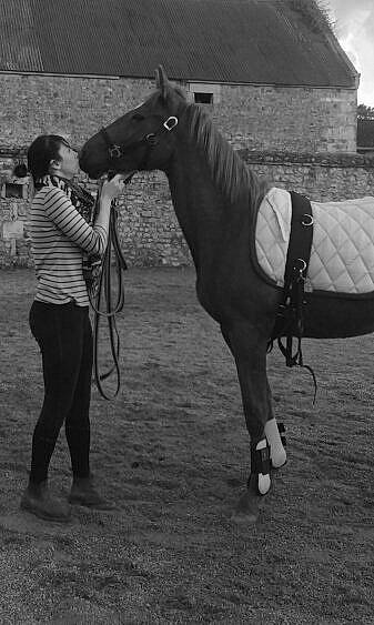 Cici a rejoint le concours — aidez-le/la à gagner de superbes lots ! animal_training, black_and_white, bridle, halter, horse, horse_grooming, horse_harness, horse_supplies, horse_tack, horse_trainer, mane, mare, recreation, rein, riding_instructor, stallion