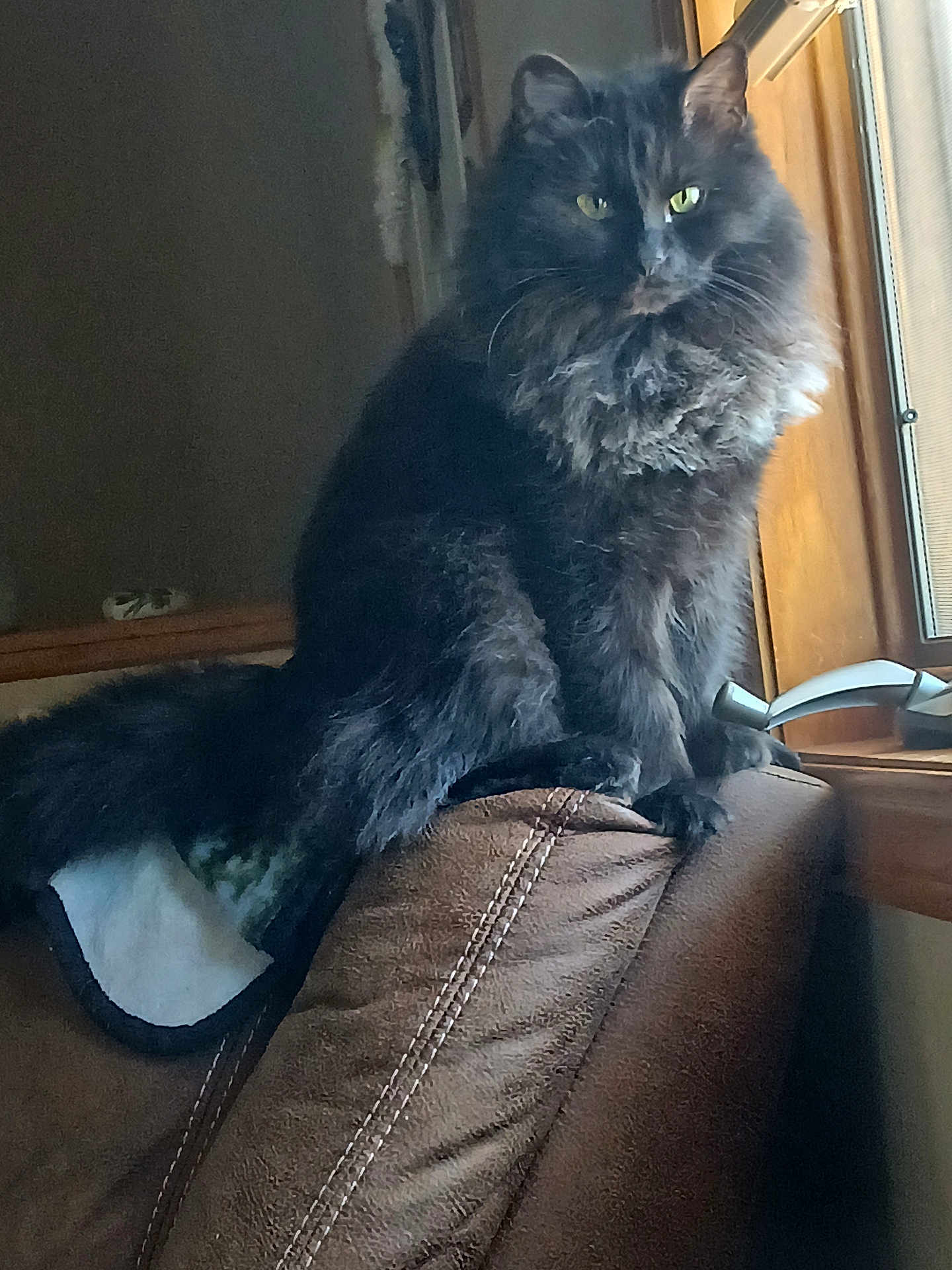 Princess