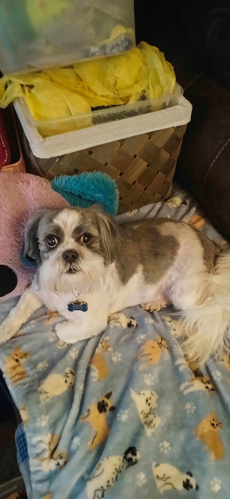 Charlie