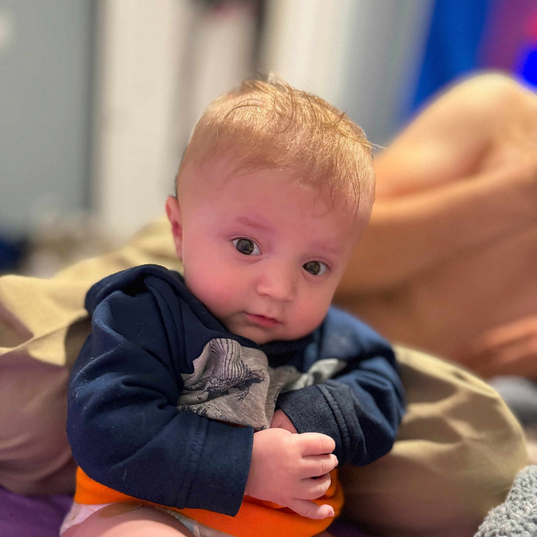 Atreus joined the competition — help win amazing prizes! baby, bodypart, boy, child, clothing, couch, face, finger, furniture, hand, head, knitwear, male, newborn, pants, person, photography, portrait, sitting, sweater