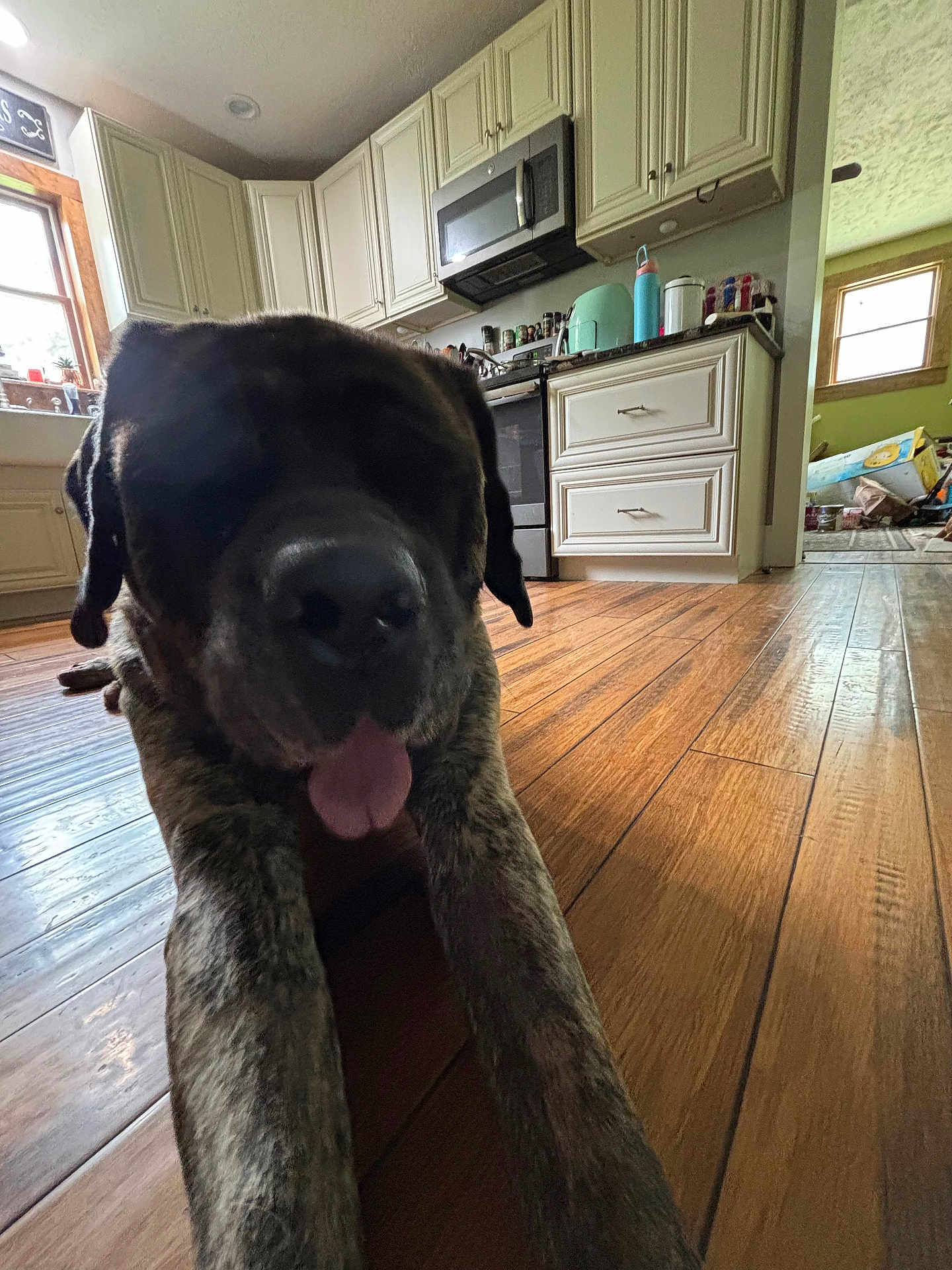 Duke